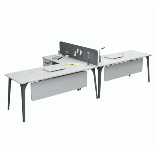Compact Double Workstation With