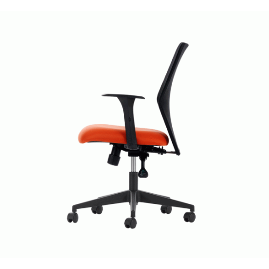 Zeno Chef Chair